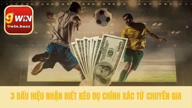 Nhận biết ngay các tín hiệu cảnh báo rủi ro