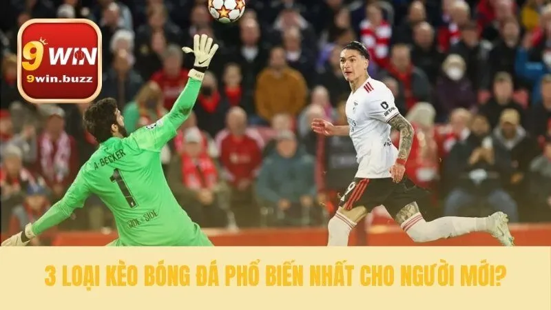 Kèo Bóng: Hướng Dẫn 3 Loại Kèo Cơ Bản & Cách Đọc Kèo Tại 9win 2 Tìm hiểu ba dạng cược căn bản