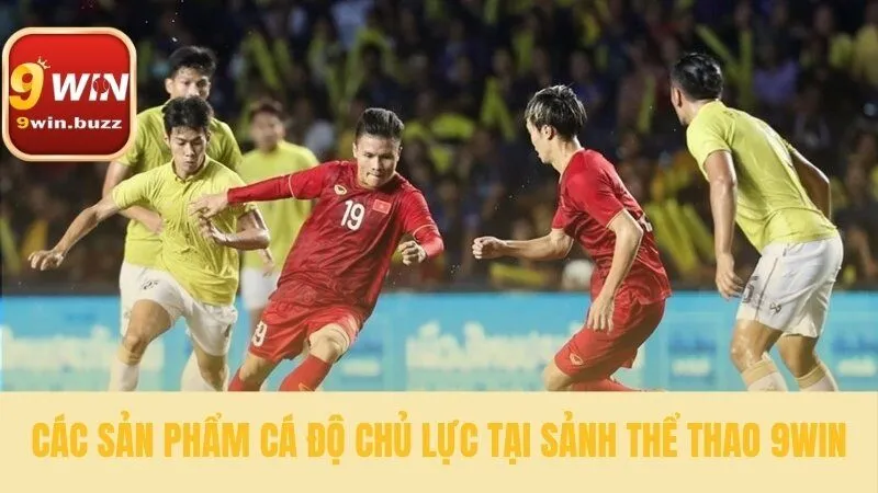 Những sản phẩm cá độ tại thể thao 9win