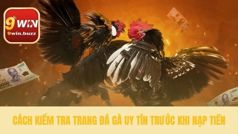 5 Tiêu Chí Chọn Đá Gà Uy Tín & Tránh Lừa Đảo Toàn Diện Tại 9win 4 Phương pháp kiểm chứng trang đá gà uy tín