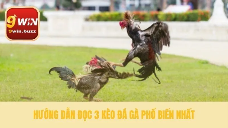 Hiểu rõ các cửa cược cơ bản