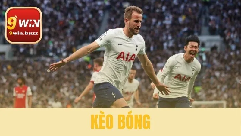 Kèo Bóng: Hướng Dẫn 3 Loại Kèo Cơ Bản & Cách Đọc Kèo Tại 9win 1 kèo bóng