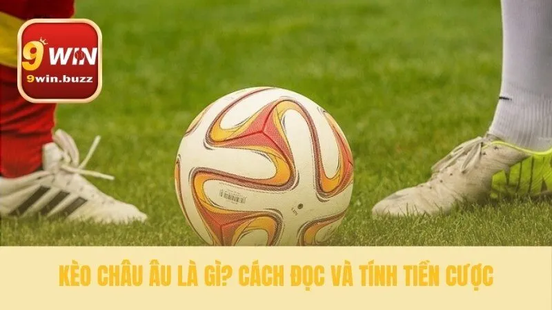 Các yếu tố cốt lõi cần hiểu về kèo châu âu