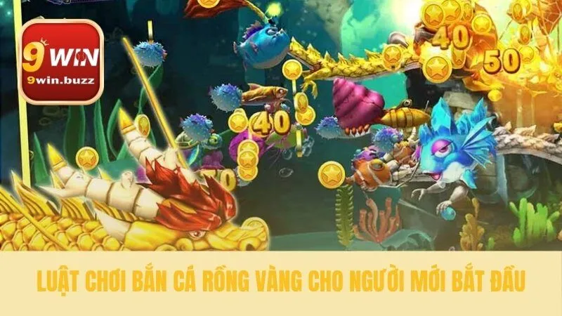 Xây dựng nền tảng cho cuộc đi săn