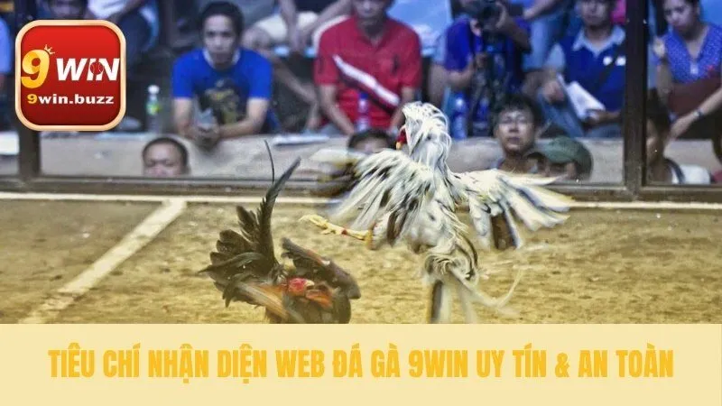 3 Bước Web Đá Gà Cựa Sắt An Toàn Uy Tín Tại 9win 3 Dấu hiệu của web đá gà uy tín