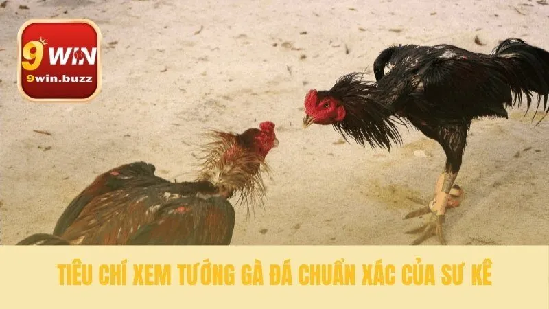 Nhận diện một chiến binh qua ngoại hình