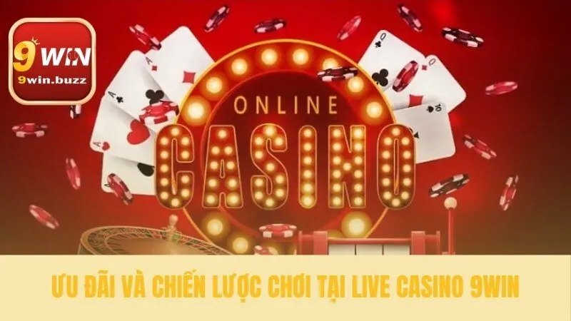 Live Casino 9win 35 Bí quyết từ các chuyên gia live casino 9win