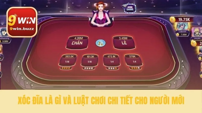 Những điều cơ bản cho người mới bắt đầu xóc đĩa